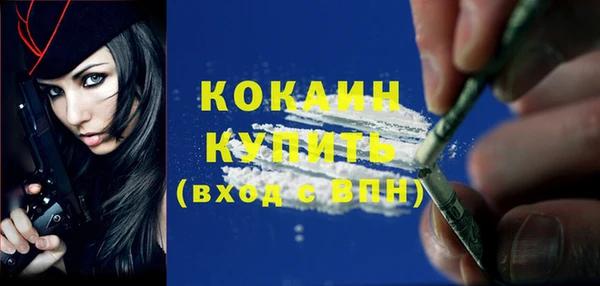 винт Нея