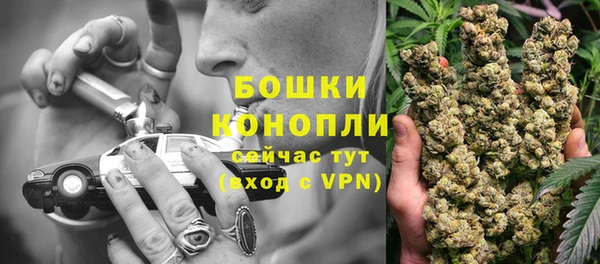 винт Нея