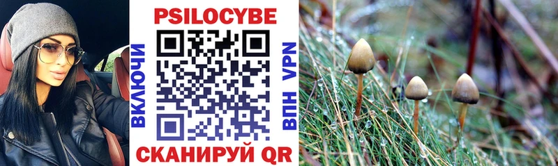 цены   Светлоград  Галлюциногенные грибы ЛСД 